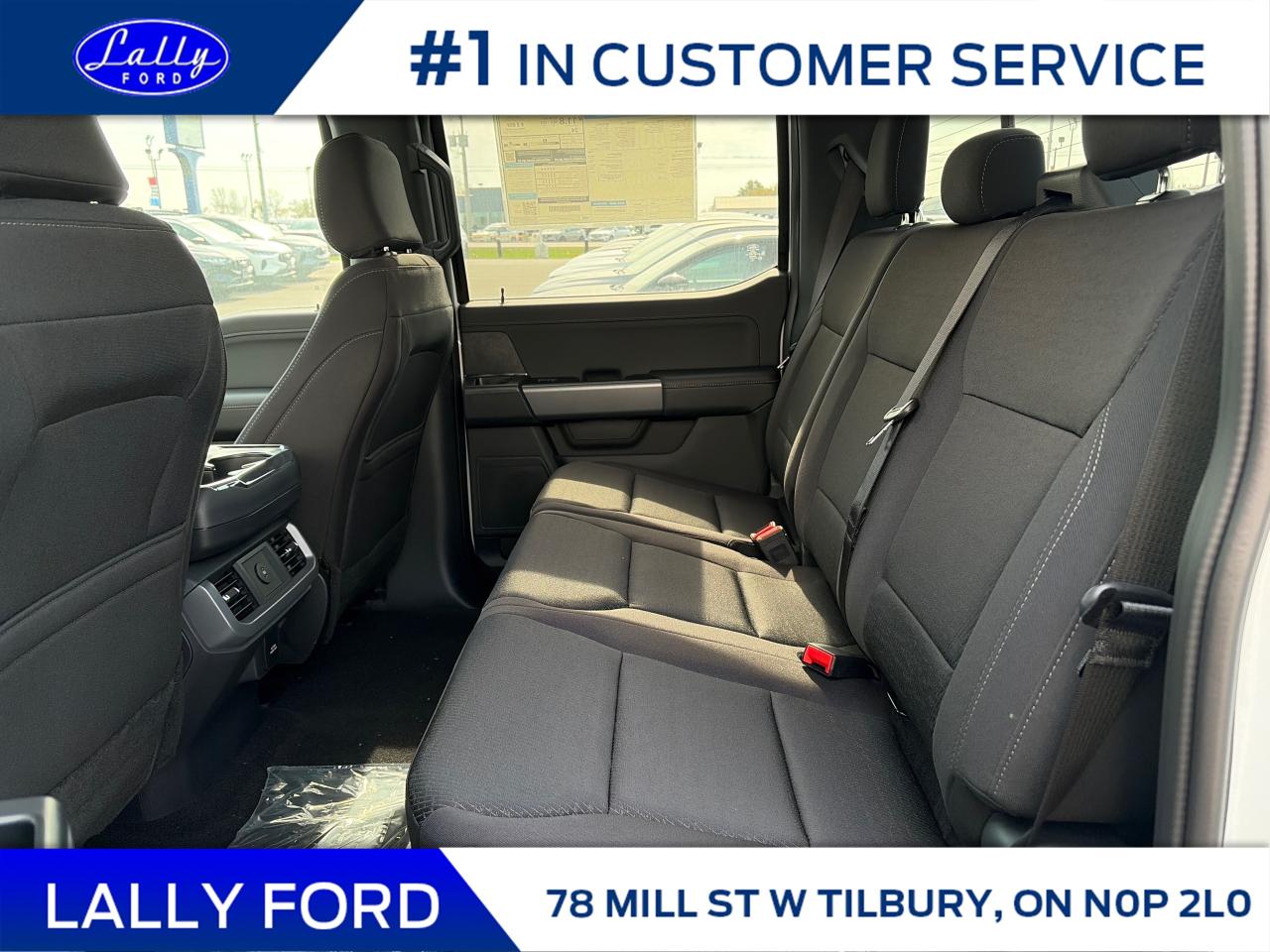 2025 Ford F-150 XLT Photo