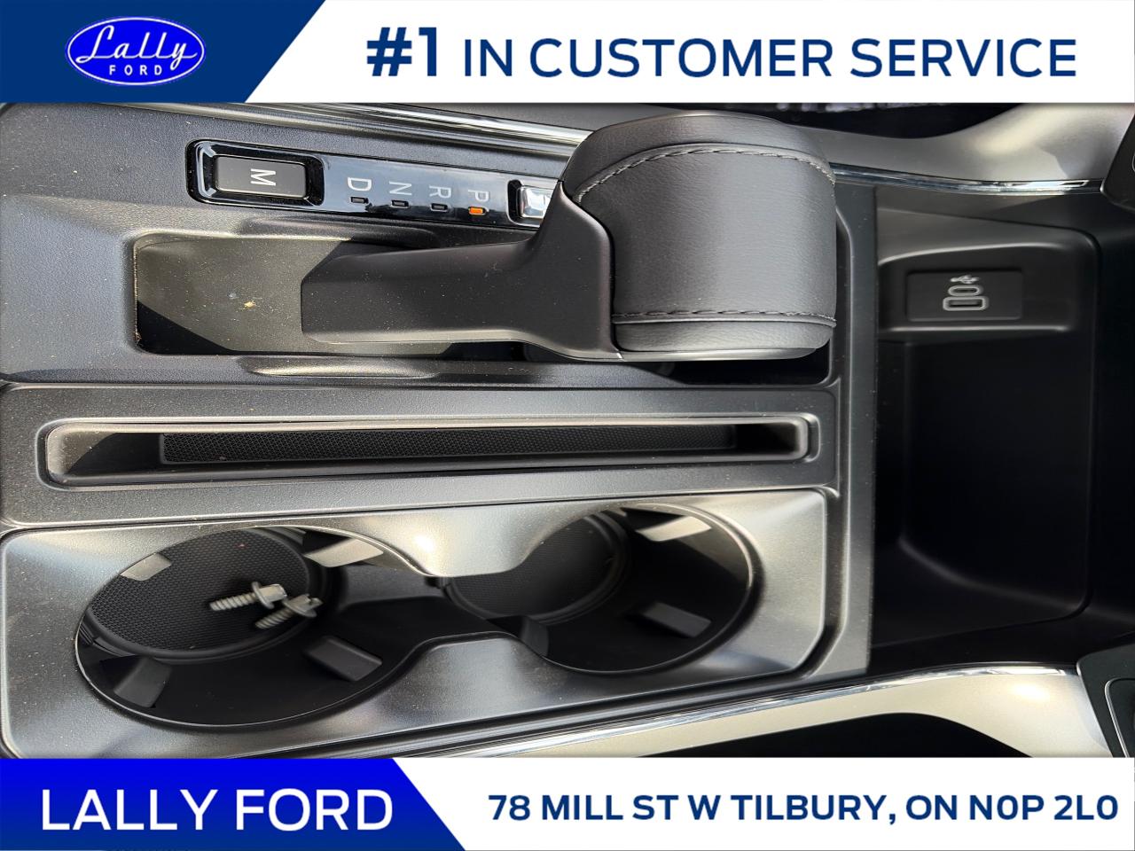 2025 Ford F-150 XLT Photo