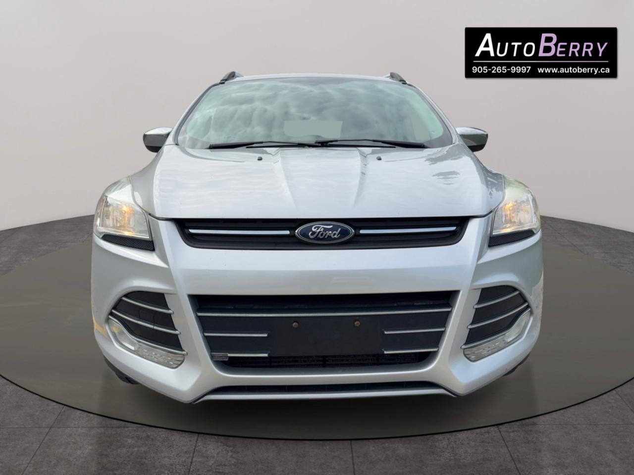 2015 Ford Escape 4WD 4dr SE Photo2