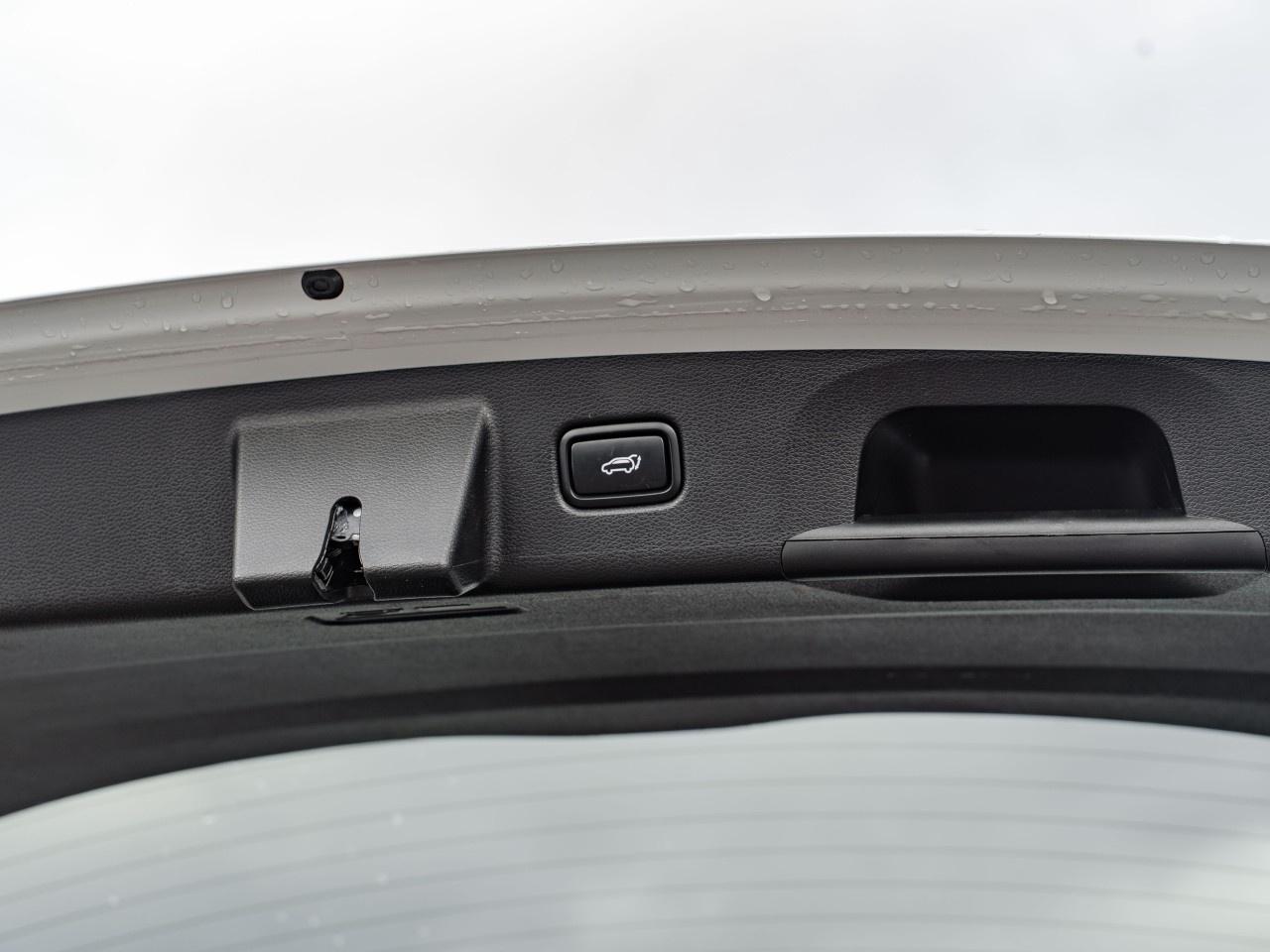 2022 Kia Telluride Nightsky AWD Photo