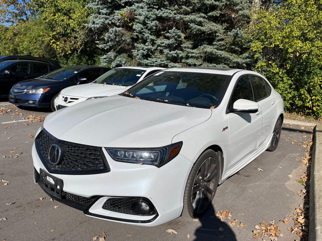 Used 2020 Acura TLX Tech A-Spec for sale in Brampton, ON