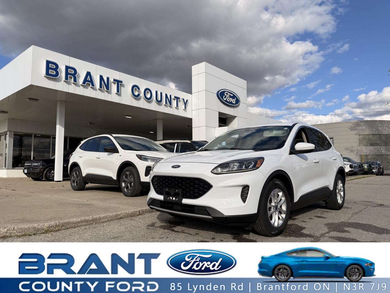 Used 2020 Ford Escape SE for sale in Brantford, ON
