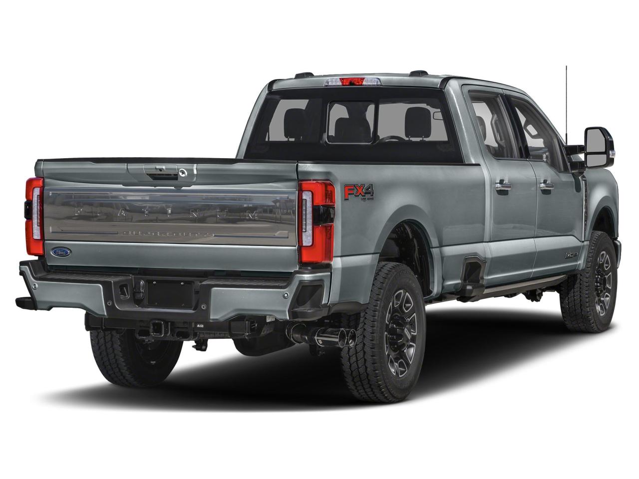 2024 Ford F-350 Super Duty DRW Platinum Photo1