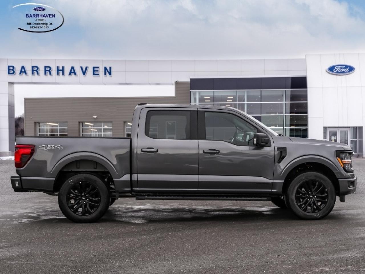 2025 Ford F-150 XLT Photo