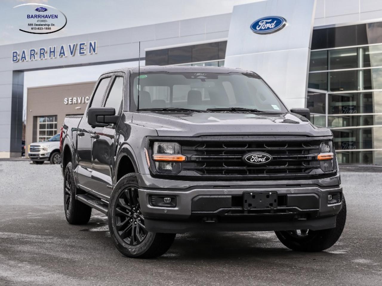 2025 Ford F-150 XLT Photo