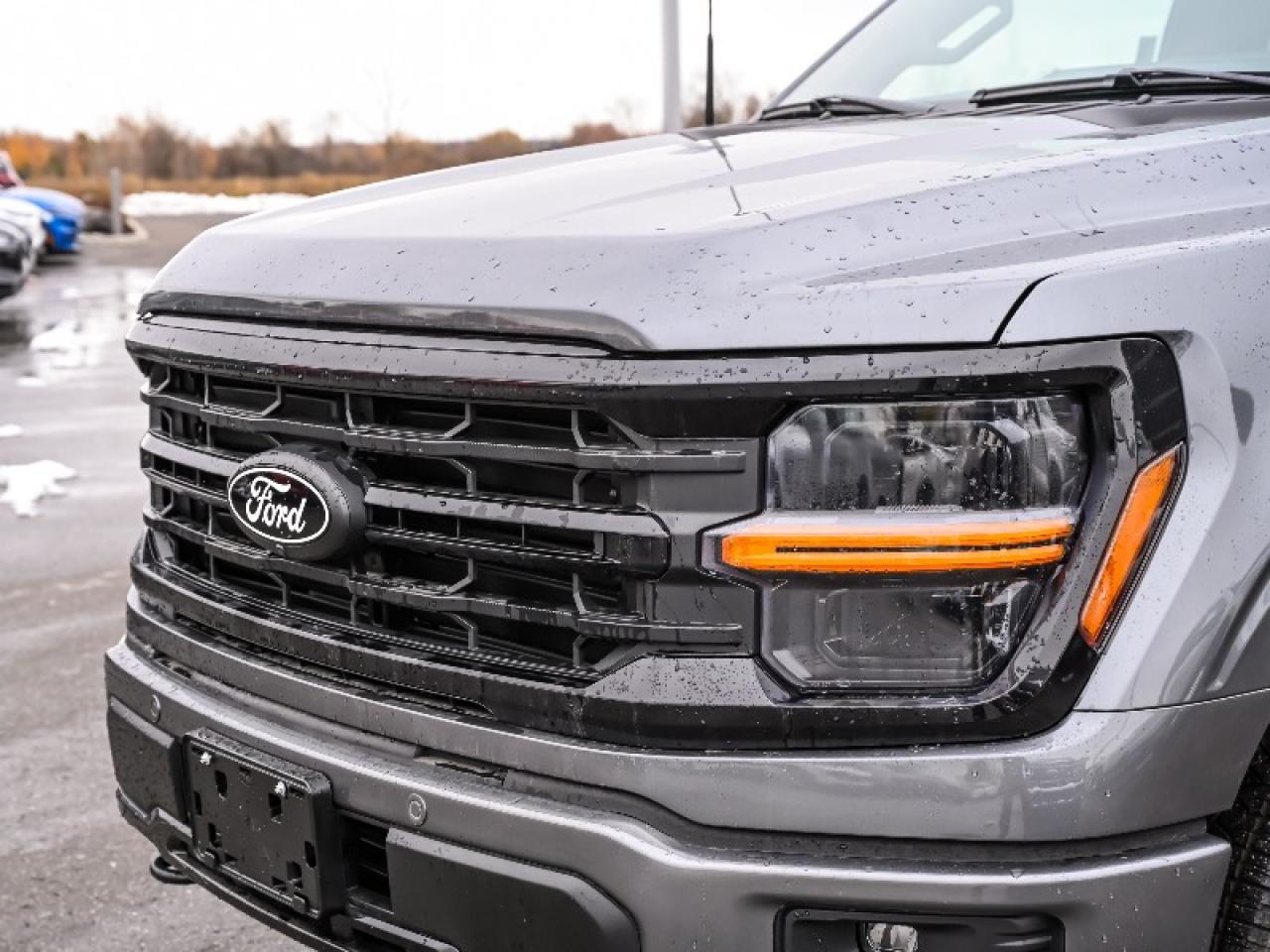 2025 Ford F-150 XLT Photo