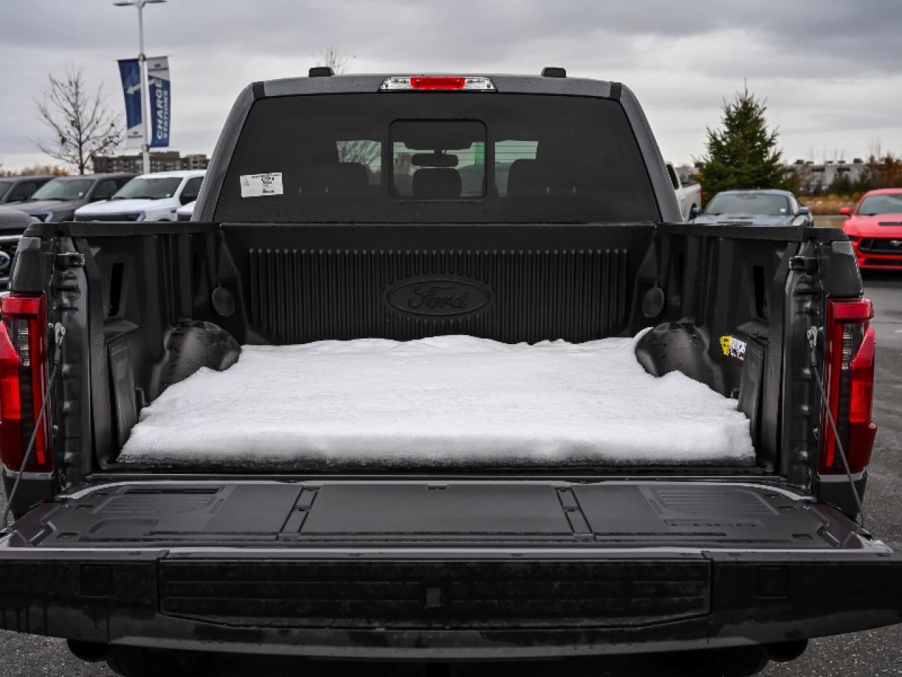 2025 Ford F-150 XLT Photo