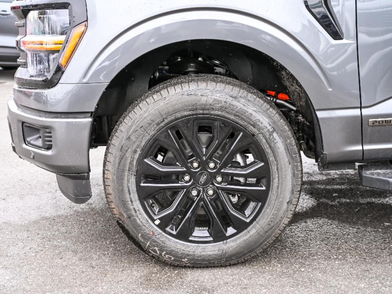 2025 Ford F-150 XLT Photo