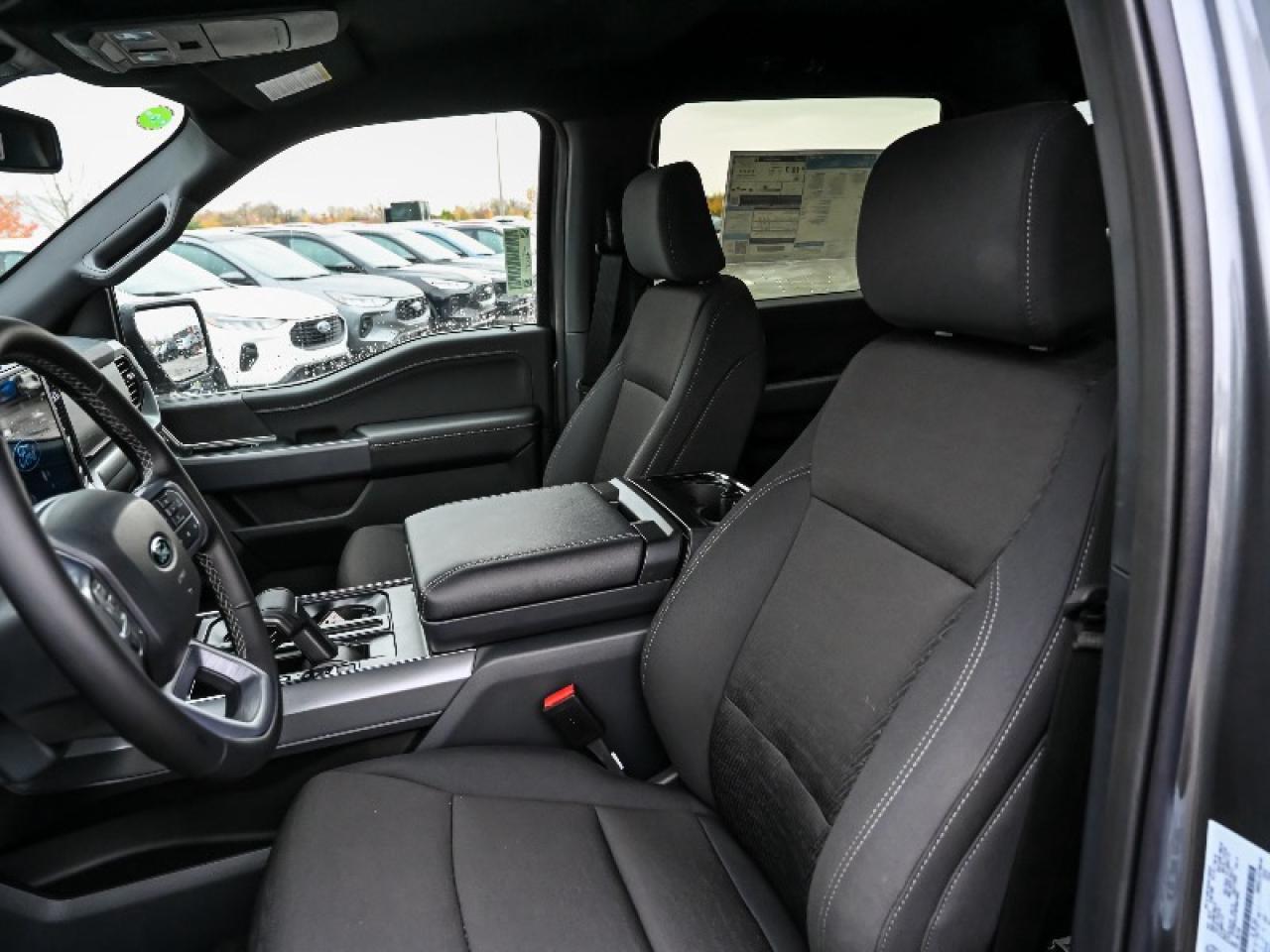 2025 Ford F-150 XLT Photo