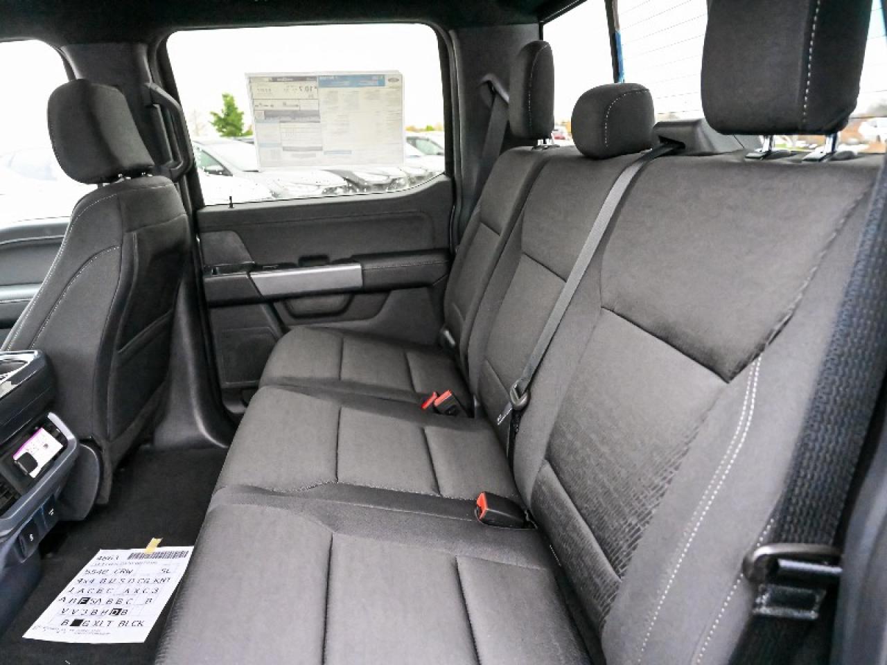 2025 Ford F-150 XLT Photo