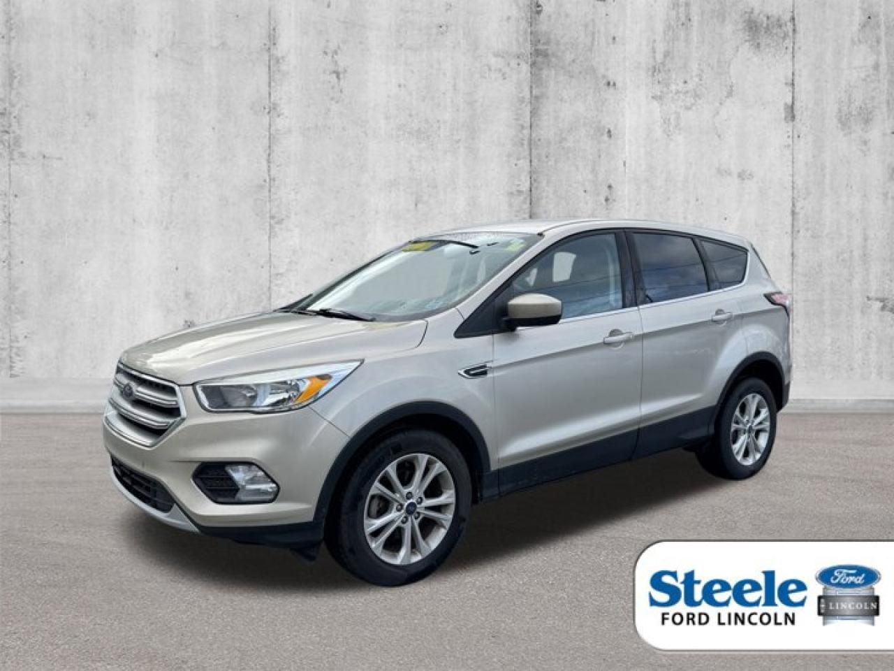 Used 2017 Ford Escape SE for sale in Halifax, NS