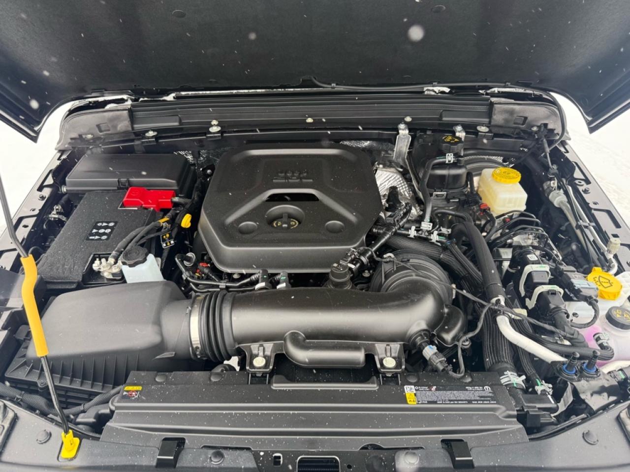 2026 Jeep Wrangler Sahara  - HD Suspension -  Targa Sunroof - $201.11 /Wk Photo