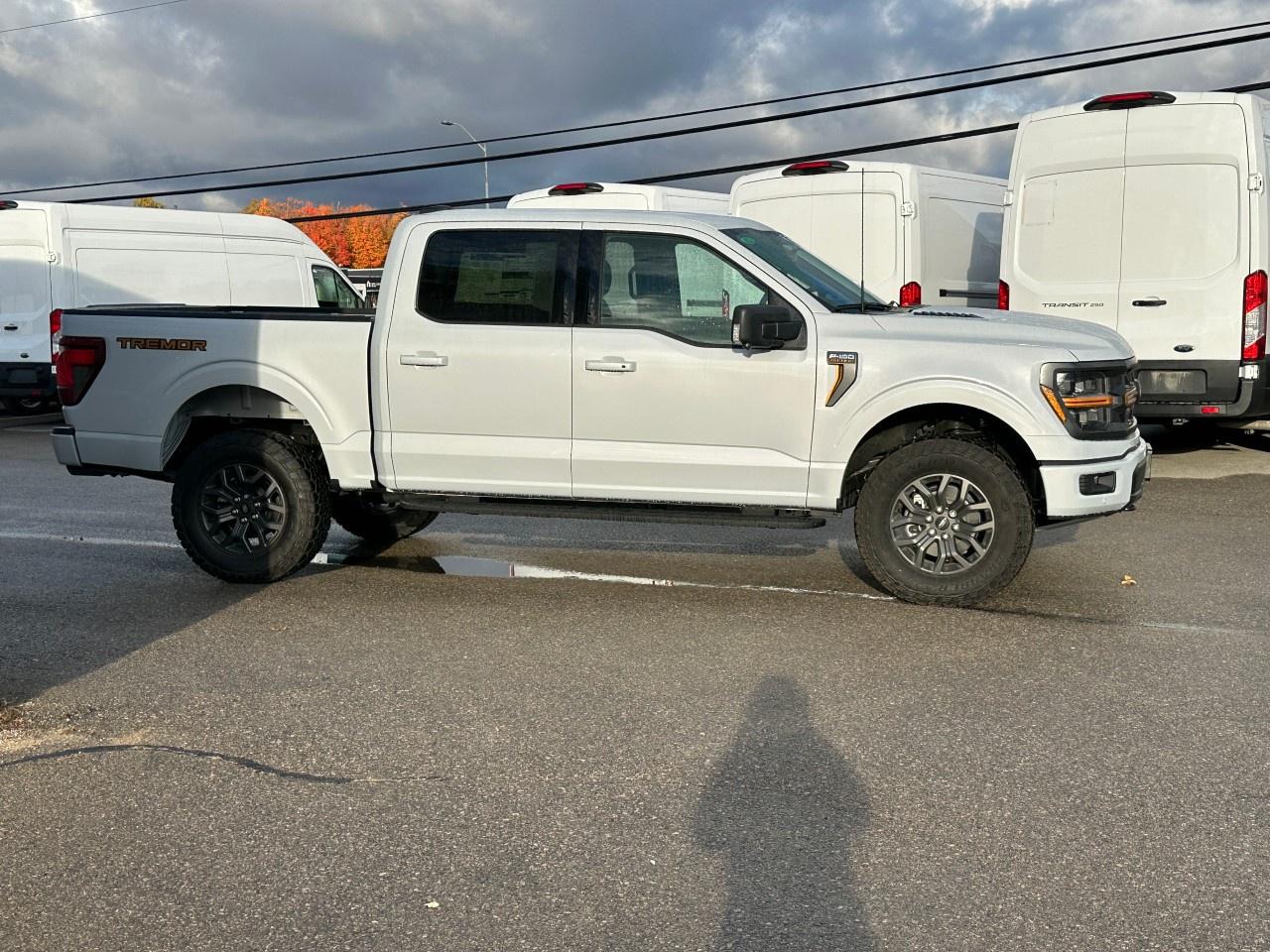 2025 Ford F-150 Tremor 4WD SuperCrew 5.5' Box Photo4