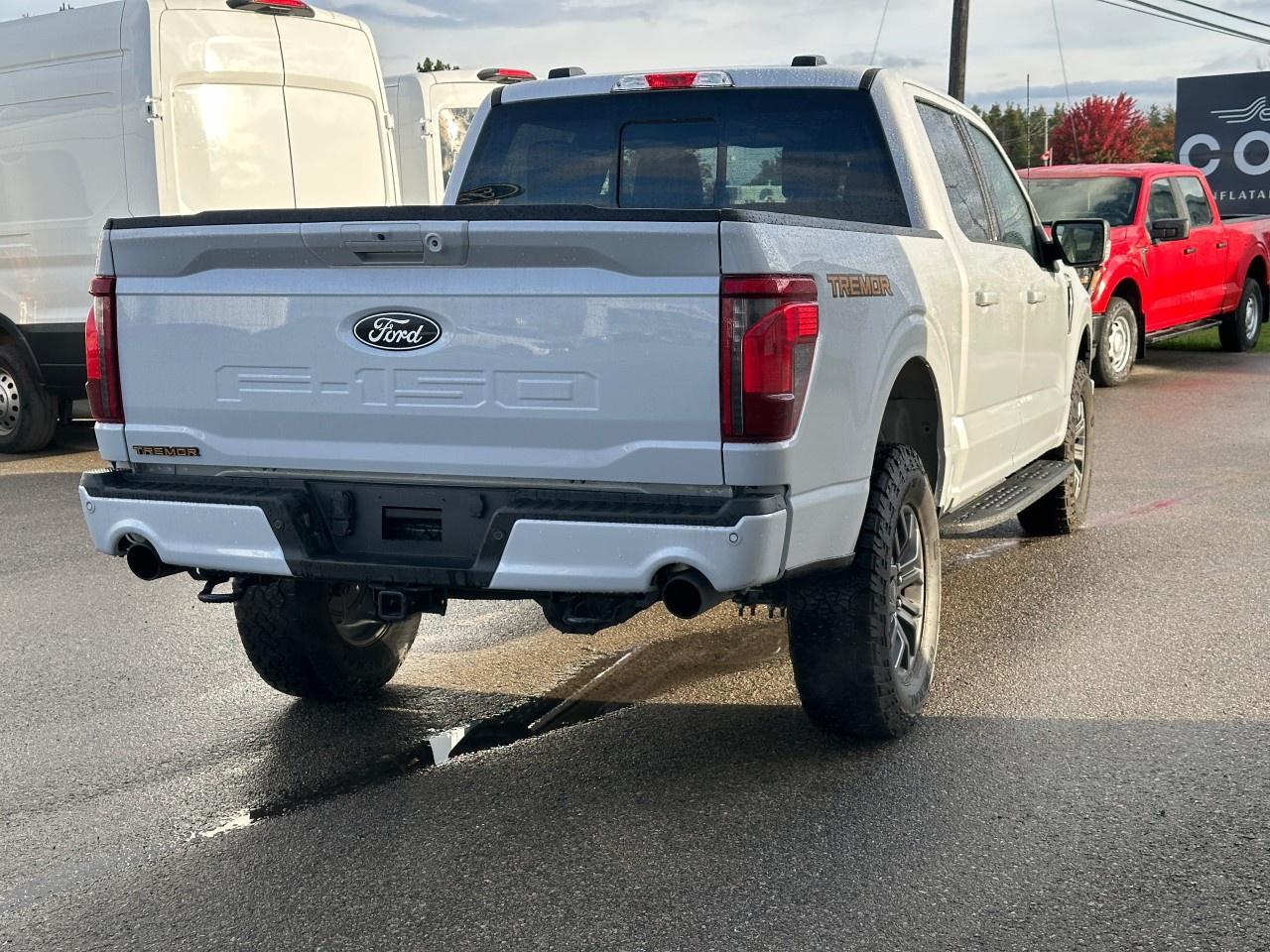 2025 Ford F-150 Tremor 4WD SuperCrew 5.5' Box Photo