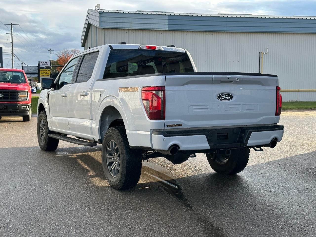 2025 Ford F-150 Tremor 4WD SuperCrew 5.5' Box Photo