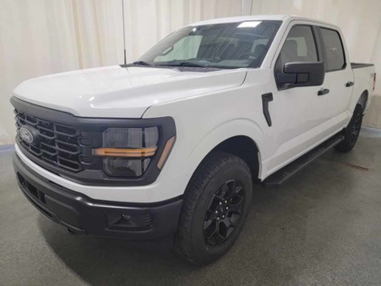 New 2025 Ford F-150 STX W/ ALL WEATHER PKG for sale in Regina, SK