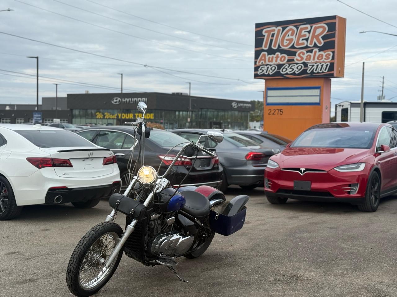 Used 2002 Suzuki Intruder 800CC, PROJECT BIKE, RUNS, VL800 for sale in London, ON