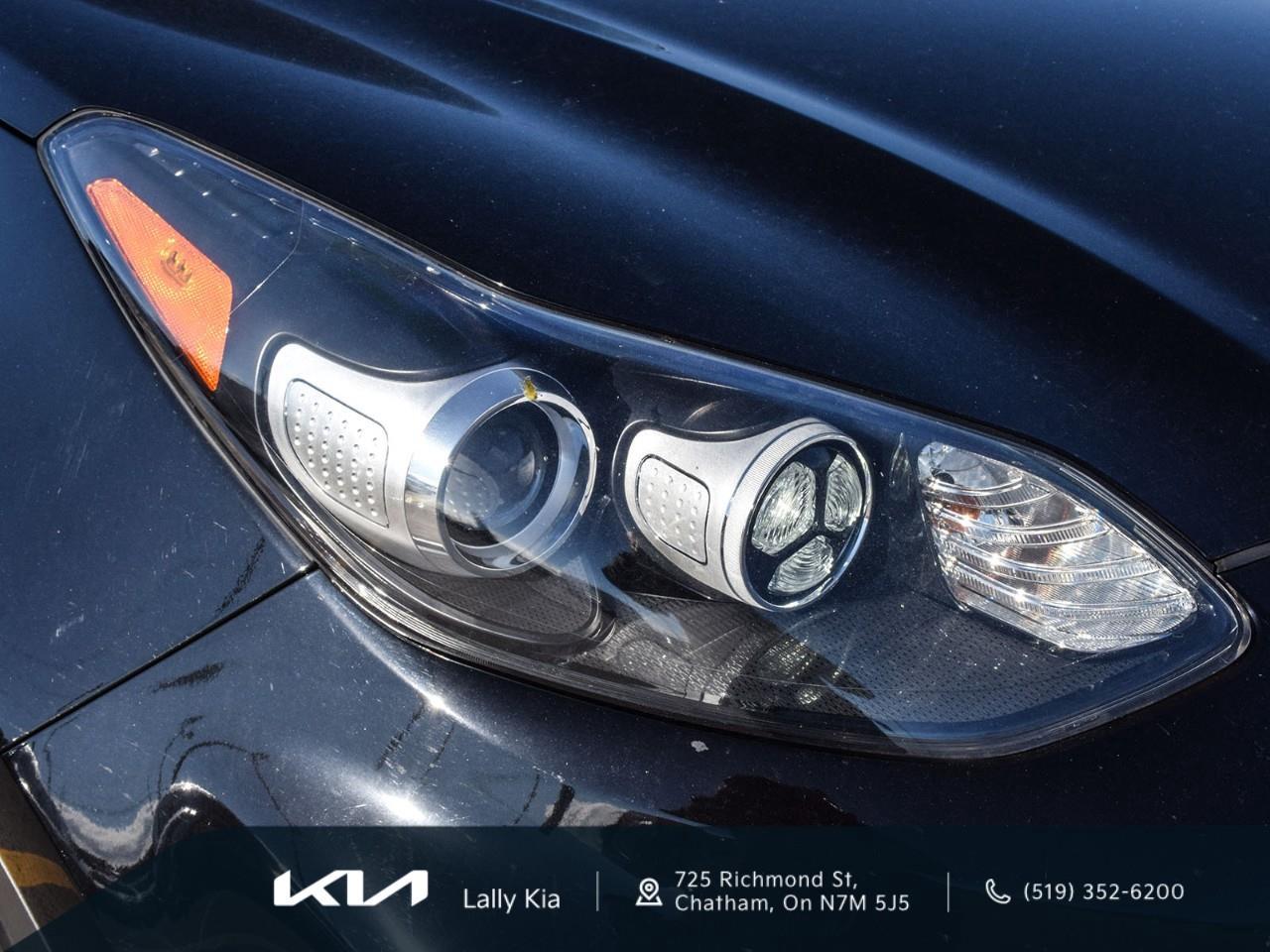 2020 Kia Sportage EX S New Arrival | Low KMs | Clean CarFax | Roof | Heated Seats Photo