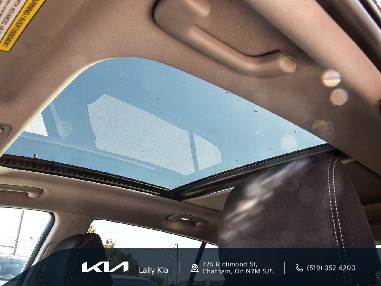 2020 Kia Sportage EX S New Arrival | Low KMs | Clean CarFax | Roof | Heated Seats Photo