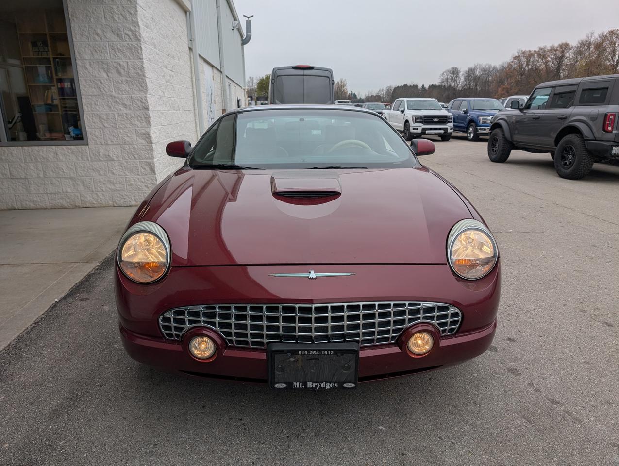 2004 Ford Thunderbird Premium w-Hardtop Photo