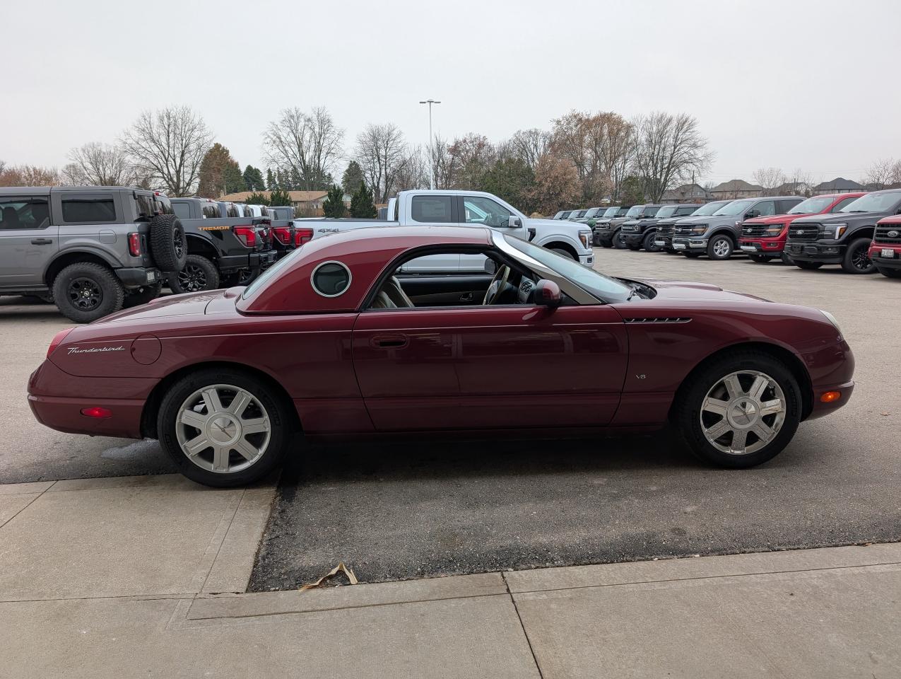 2004 Ford Thunderbird Premium w-Hardtop Photo2