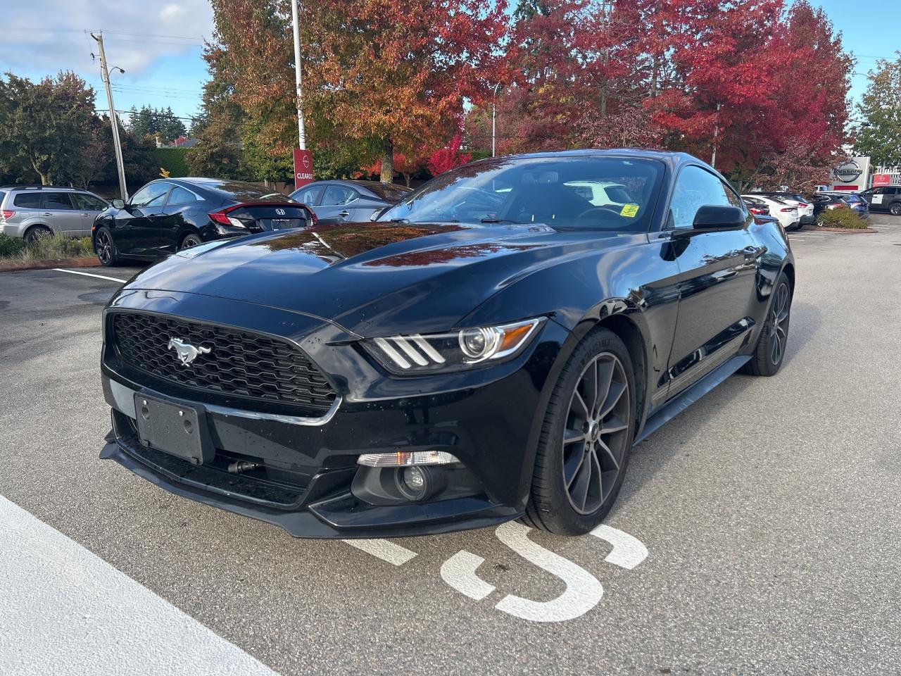 Used 2017 Ford Mustang 2dr Fastback EcoBoost for sale in Surrey, BC