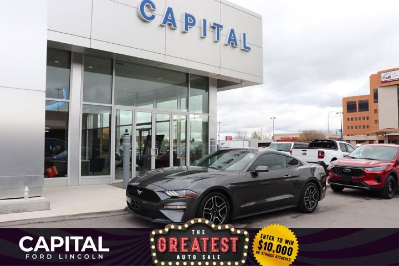 Used 2019 Ford Mustang EcoBoost Fastback **New Arrival** for sale in Winnipeg, MB