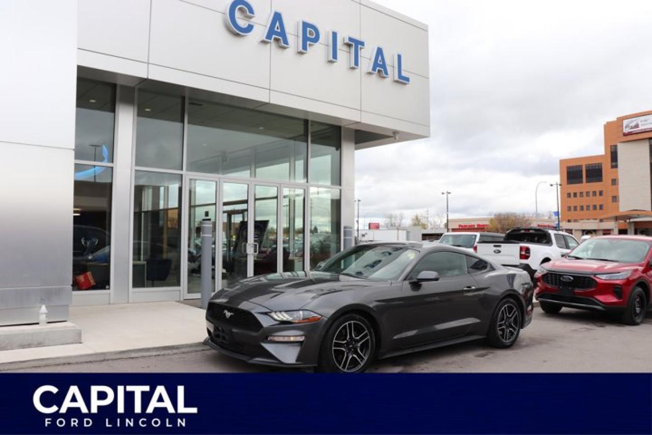 Used 2019 Ford Mustang EcoBoost Fastback for sale in Winnipeg, MB