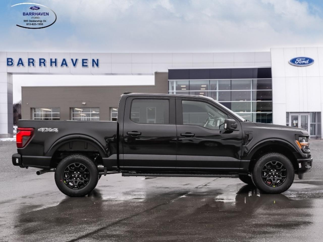 2025 Ford F-150 XLT Photo