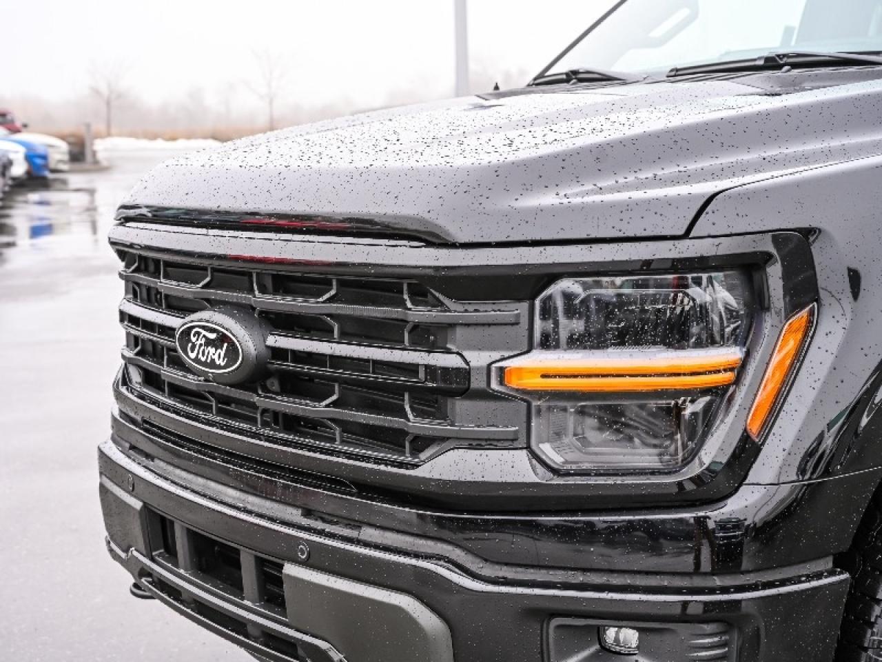 2025 Ford F-150 XLT Photo