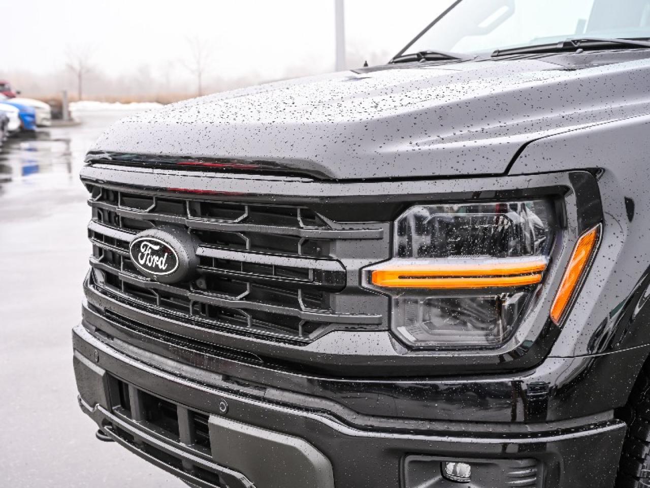 2025 Ford F-150 XLT Photo