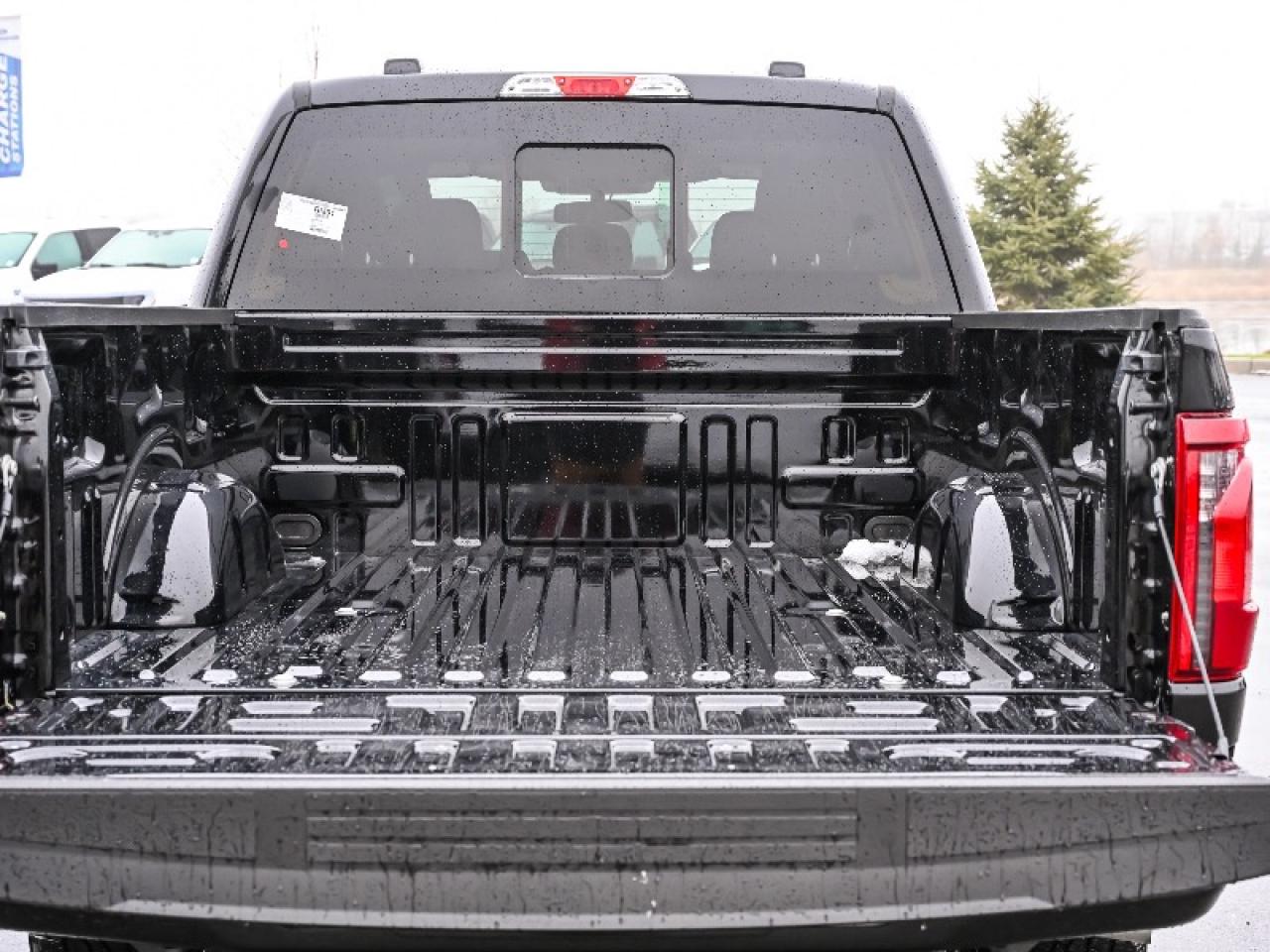 2025 Ford F-150 XLT Photo