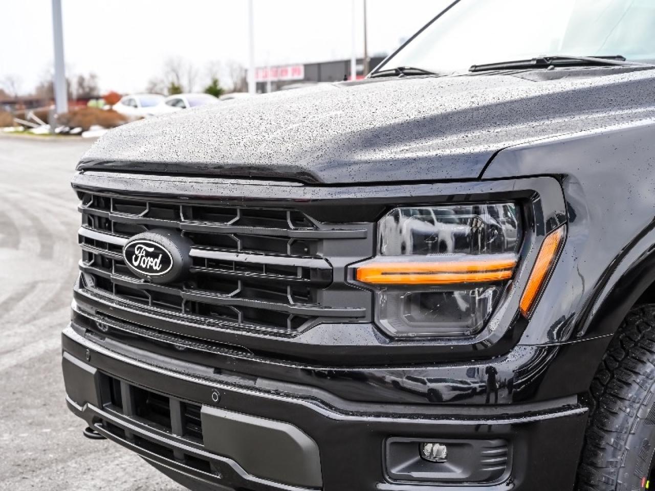 2025 Ford F-150 XLT Photo