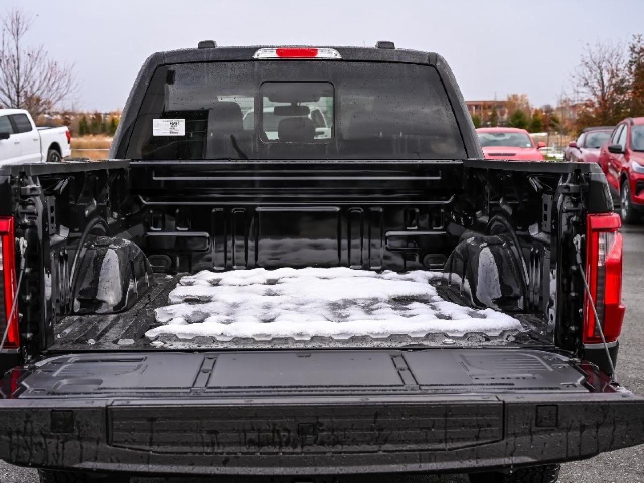 2025 Ford F-150 XLT Photo