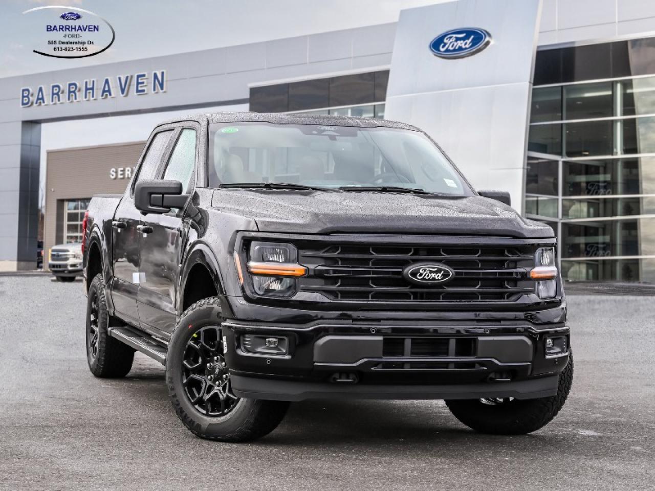 2025 Ford F-150 XLT Photo