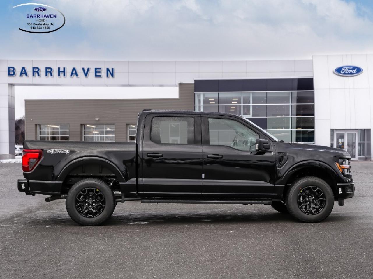 2025 Ford F-150 XLT Photo