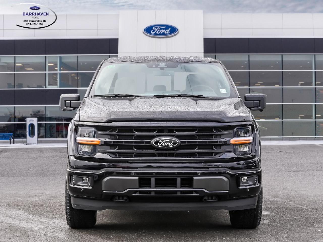 2025 Ford F-150 XLT Photo
