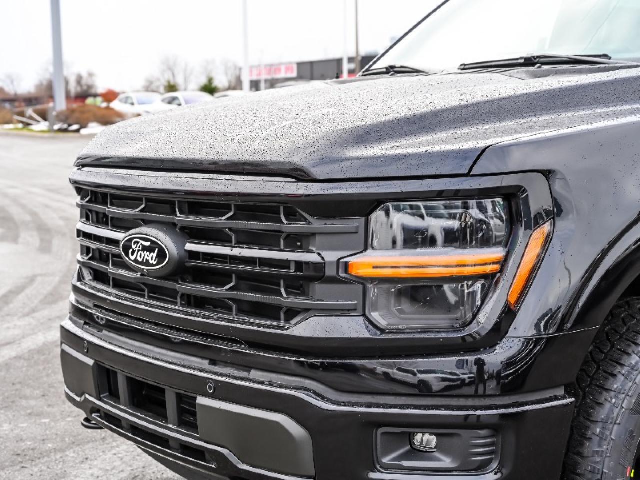 2025 Ford F-150 XLT Photo