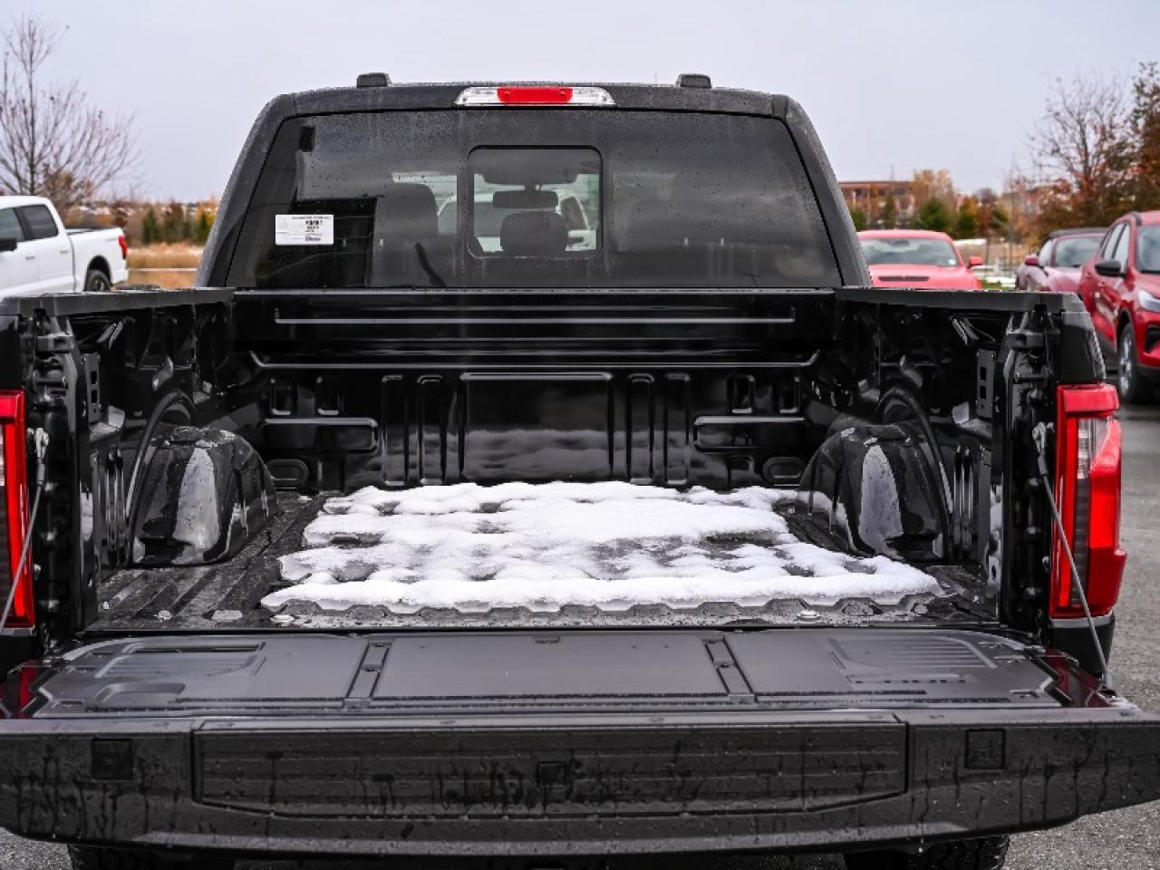 2025 Ford F-150 XLT Photo