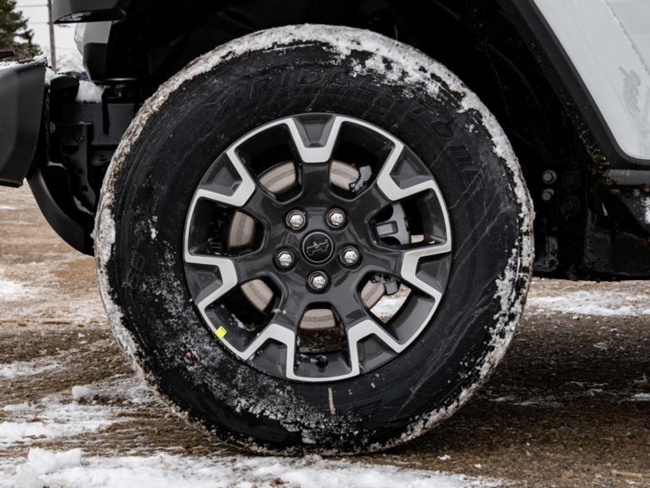 2026 Jeep Wrangler Sahara Photo