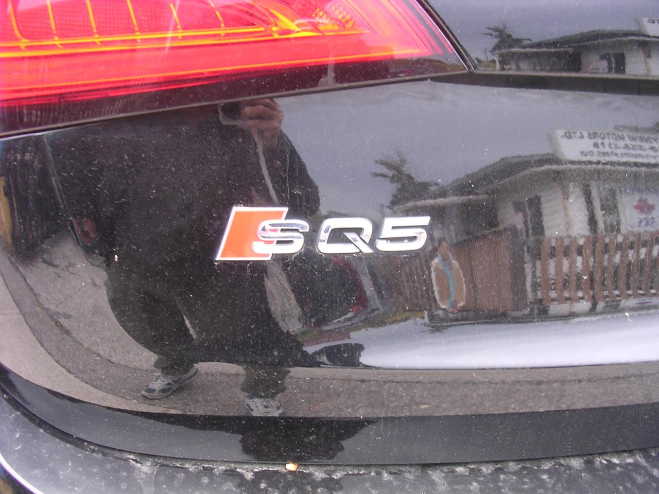 2016 Audi SQ5 quattro 4dr 3.0T Progressiv Photo