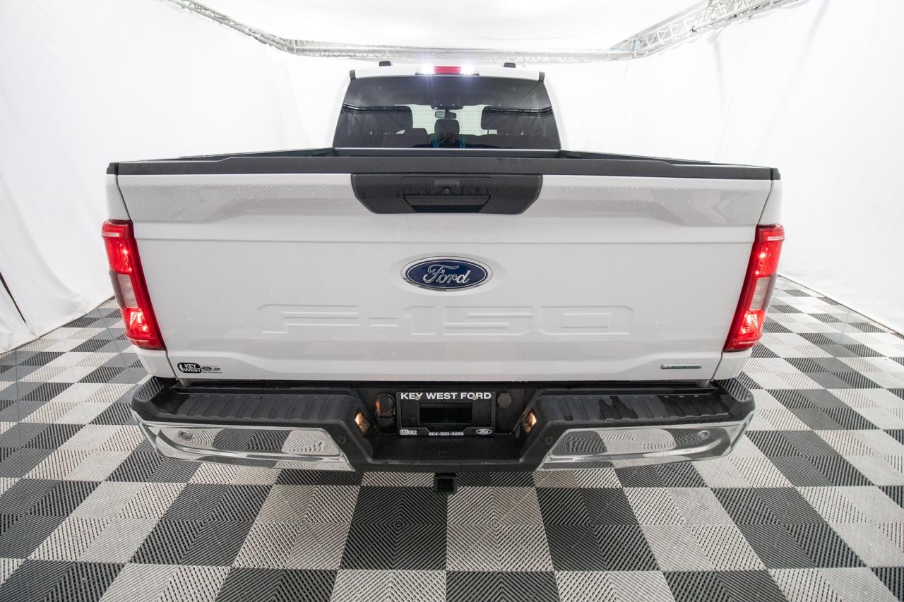 2023 Ford F-150 XLT 4WD SuperCrew 6.5' Box Photo5