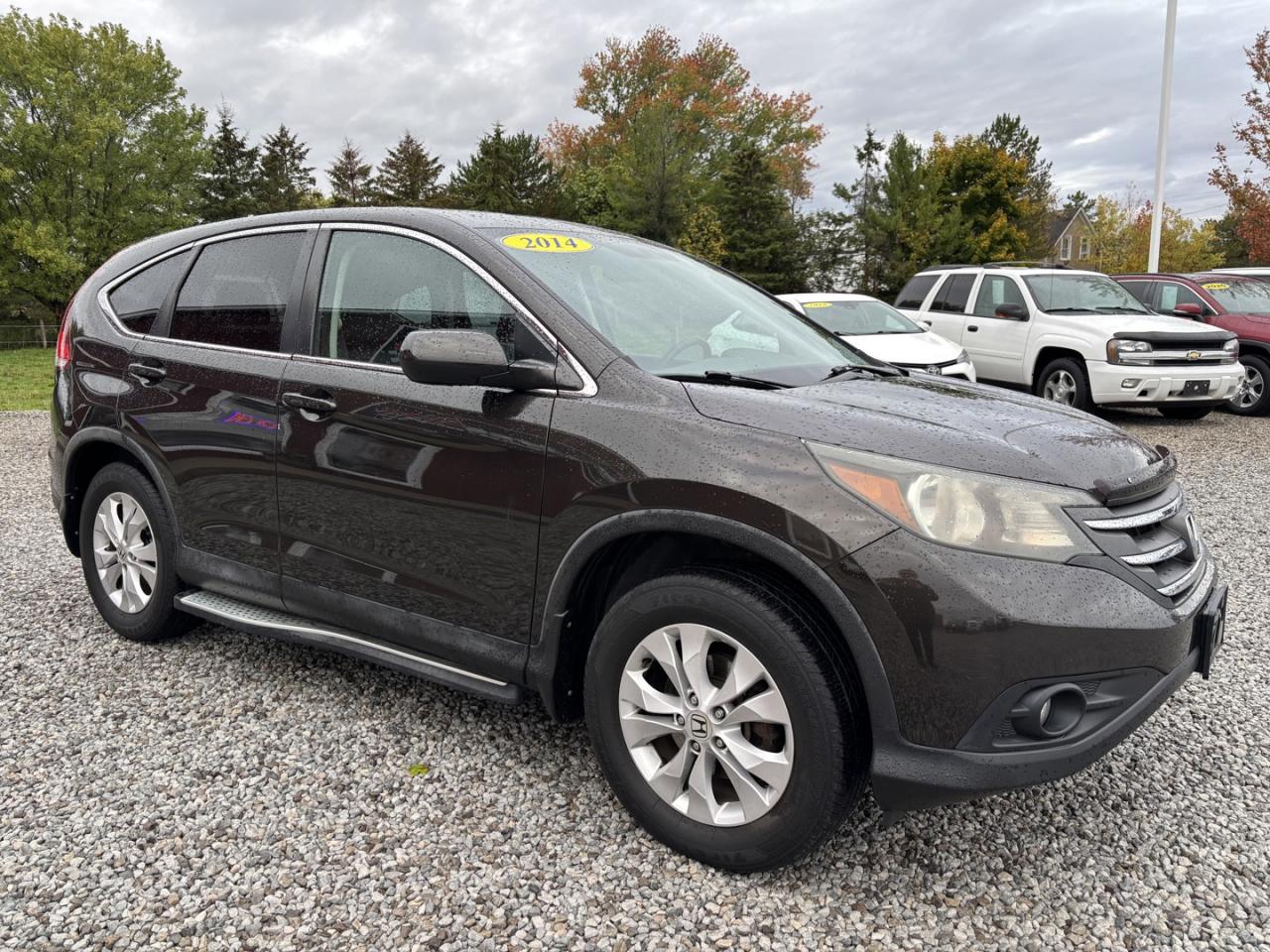 2014 Honda CR-V EX-L Super Clean! Photo