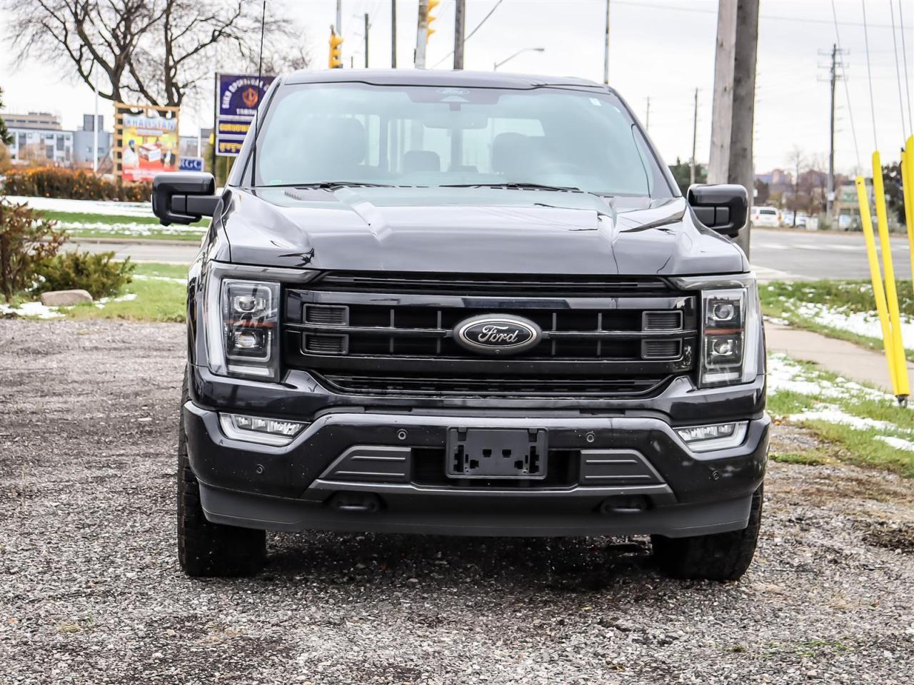 2022 Ford F-150 Platinum Photo2