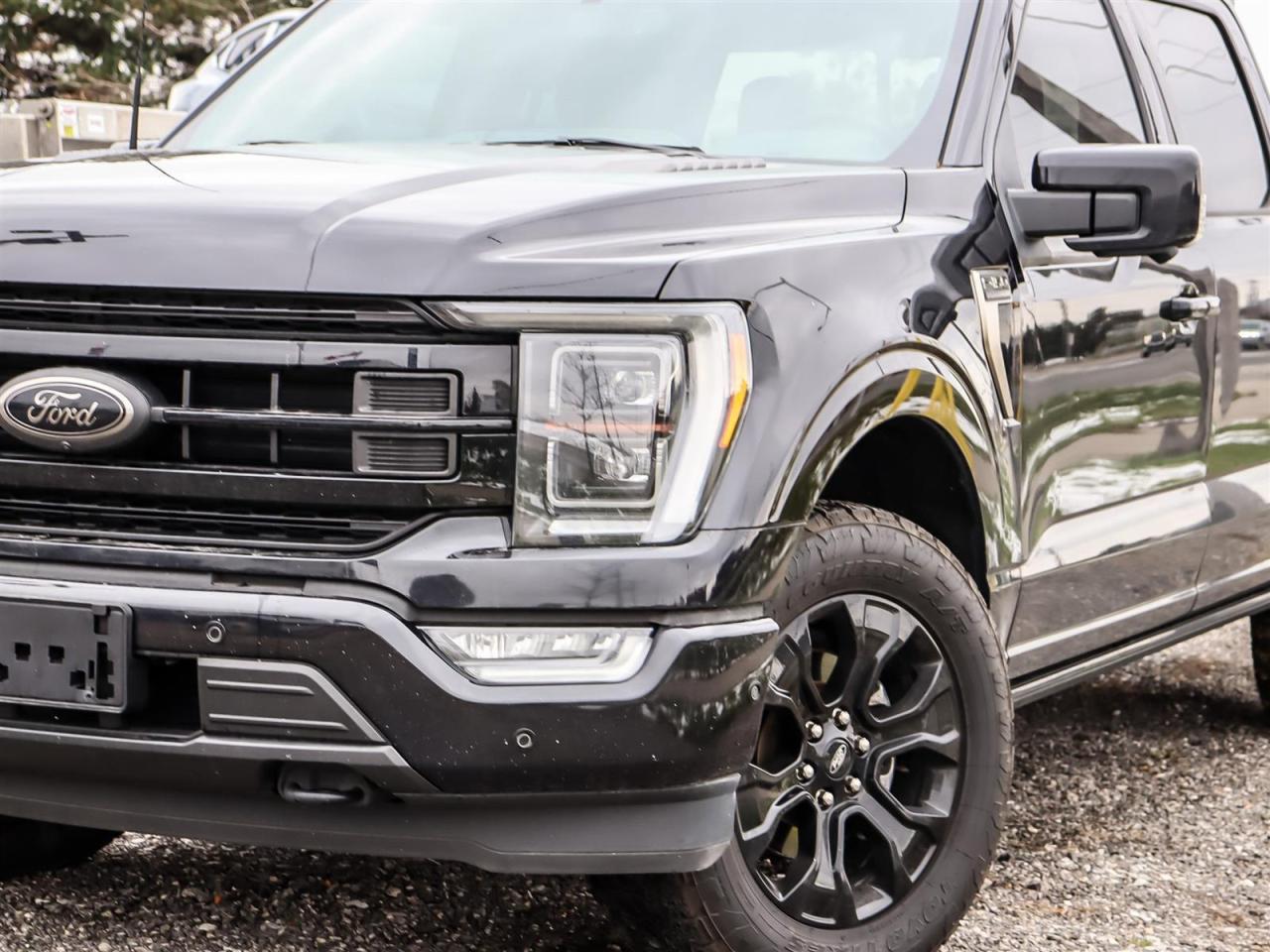 2022 Ford F-150 Platinum Photo