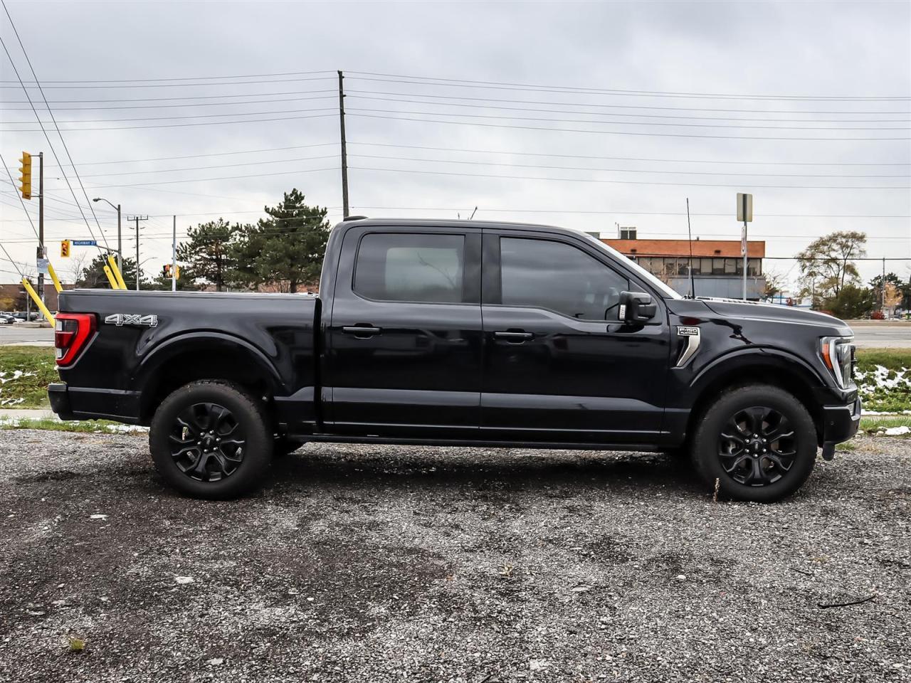 2022 Ford F-150 Platinum Photo