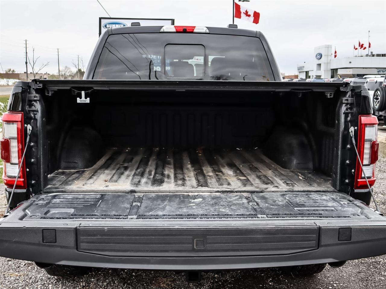 2022 Ford F-150 Platinum Photo