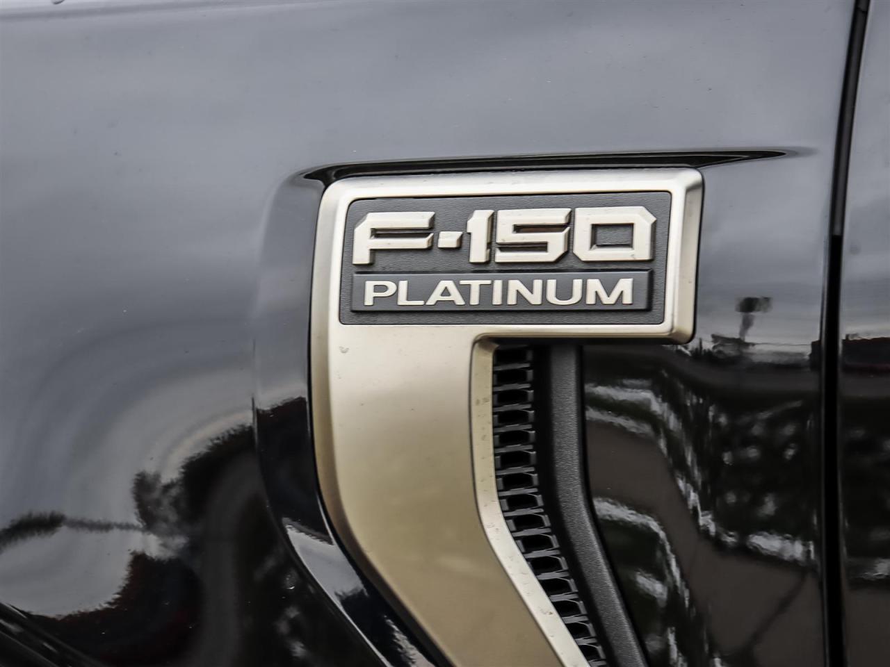2022 Ford F-150 Platinum Photo