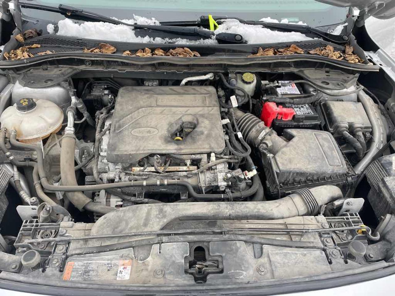 2020 Ford Escape SE Photo
