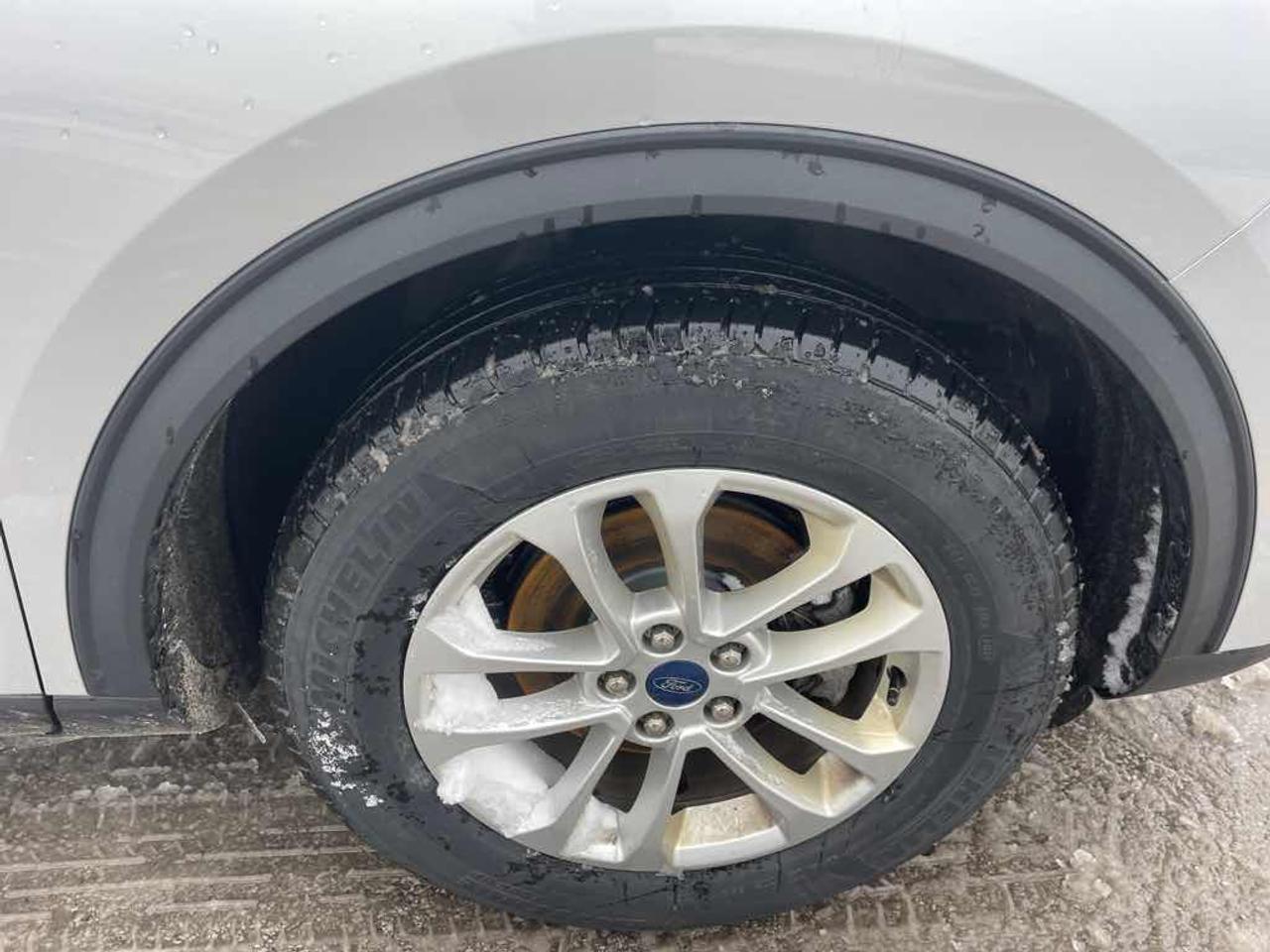 2020 Ford Escape SE Photo